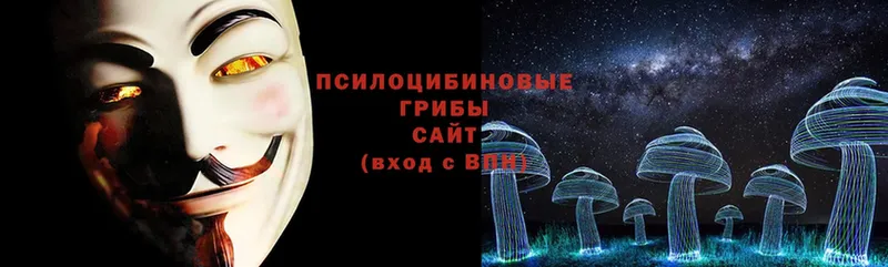 где купить наркоту  Благодарный  Галлюциногенные грибы Cubensis 